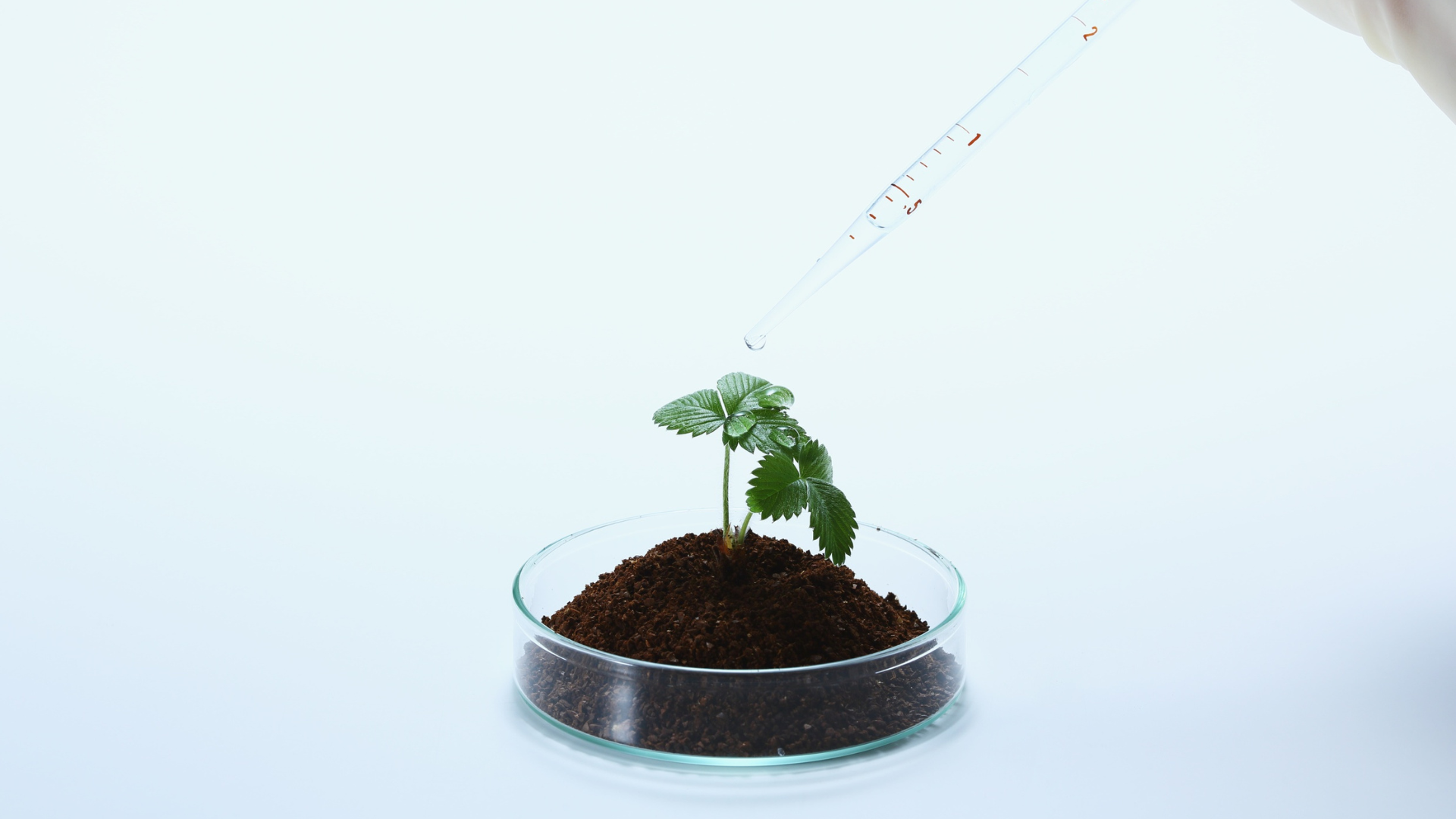 Stop Chasing Nutrition Headlines. How to Filter Food Claims Like a Pro